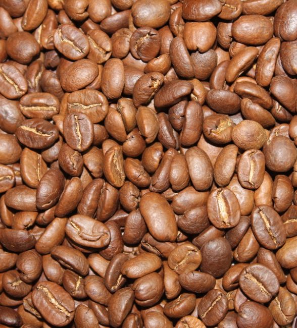 Cà phê hạt rang